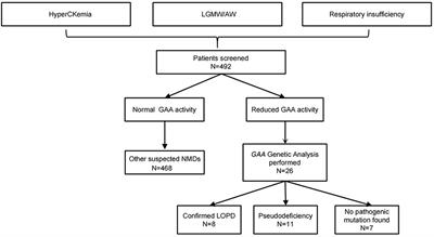 High-risk screening of late-onset Pompe disease: A different early portrait in China